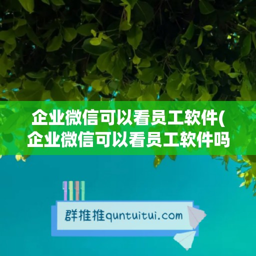 企业微信可以看员工软件(企业微信可以看员工软件吗)