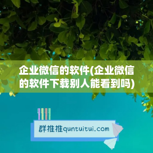 企业微信的软件(企业微信的软件下载别人能看到吗)