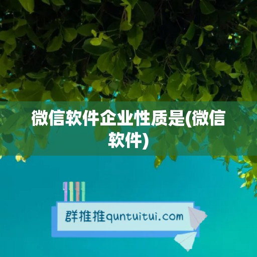 微信软件企业性质是(微信软件)