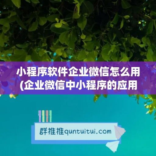 小程序软件企业微信怎么用(企业微信中小程序的应用)