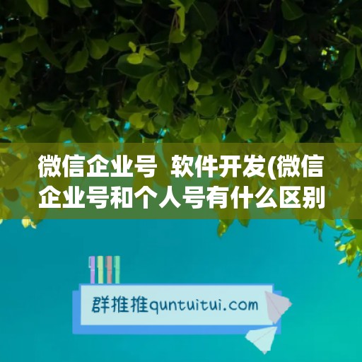 微信企业号  软件开发(微信企业号和个人号有什么区别)