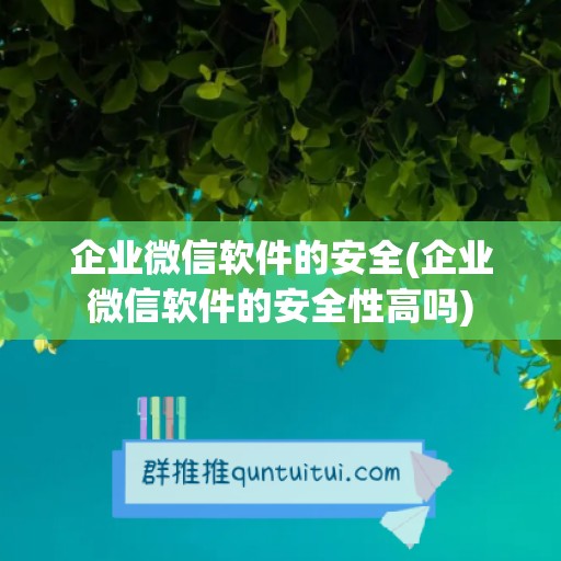 企业微信软件的安全(企业微信软件的安全性高吗)