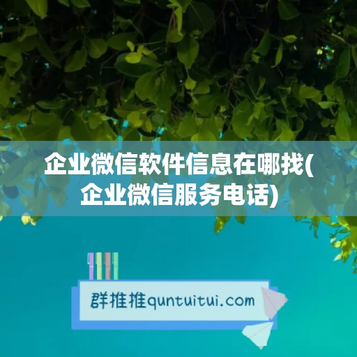 企业微信软件信息在哪找(企业微信服务电话)