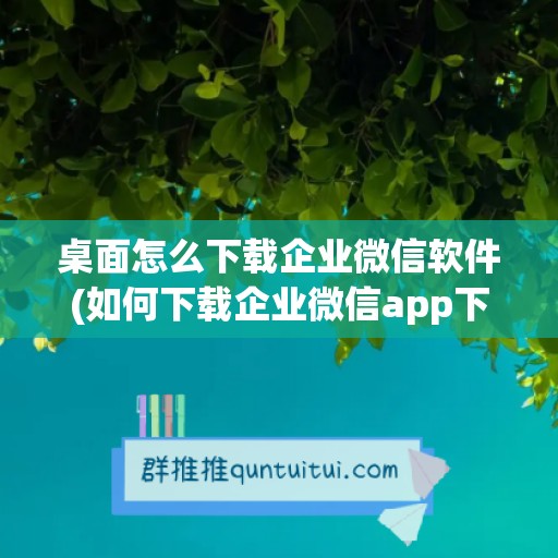 桌面怎么下载企业微信软件(如何下载企业微信app下载)