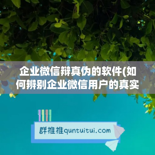 企业微信辩真伪的软件(如何辨别企业微信用户的真实性)