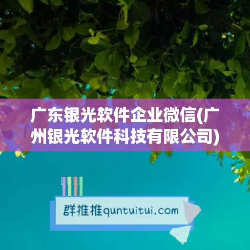 广东银光软件企业微信(广州银光软件科技有限公司)