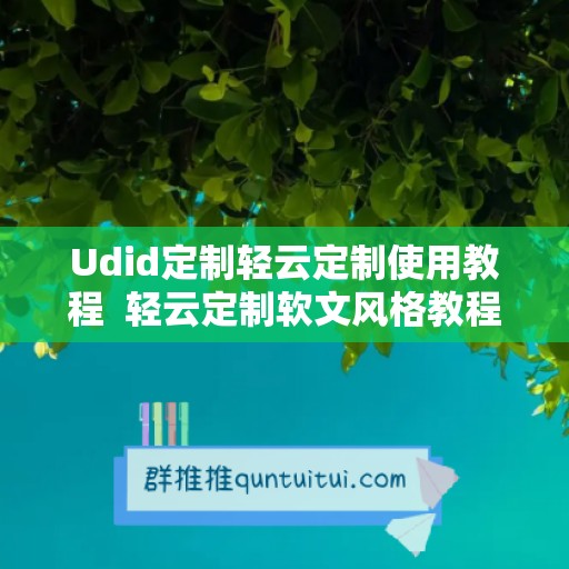 Udid定制轻云定制使用教程  轻云定制软文风格教程