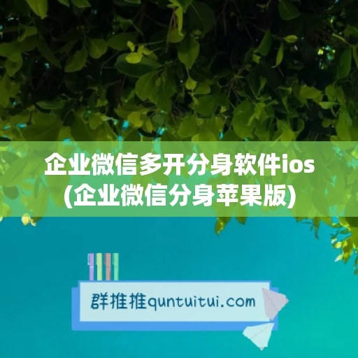 企业微信多开分身软件ios(企业微信分身苹果版)