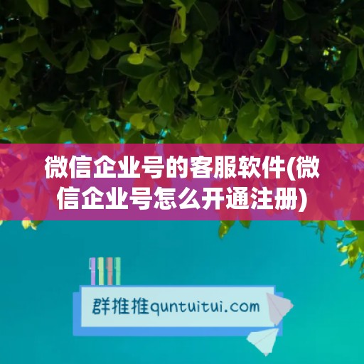 微信企业号的客服软件(微信企业号怎么开通注册)