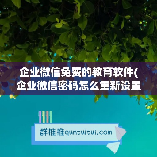 企业微信免费的教育软件(企业微信密码怎么重新设置)