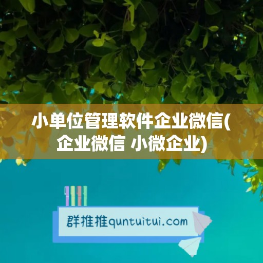 小单位管理软件企业微信(企业微信 小微企业)