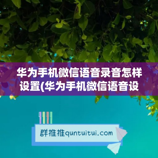 华为手机微信语音录音怎样设置(华为手机微信语音设置在哪里)