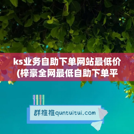 ks业务自助下单网站最低价(梓豪全网最低自助下单平台)