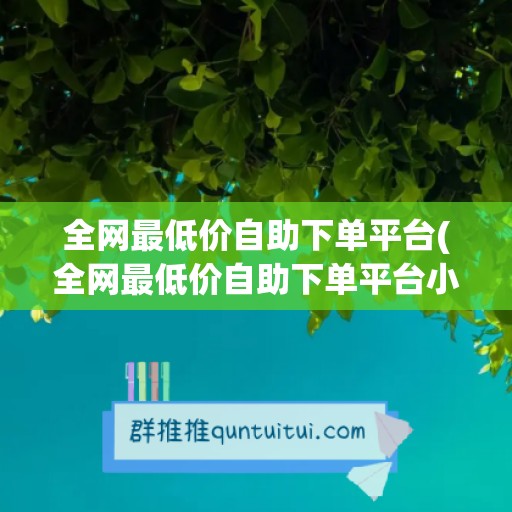 全网最低价自助下单平台(全网最低价自助下单平台小熊)