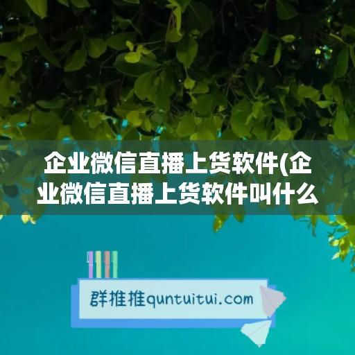 企业微信直播上货软件(企业微信直播上货软件叫什么)