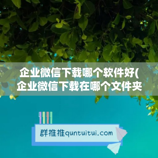 企业微信下载哪个软件好(企业微信下载在哪个文件夹)