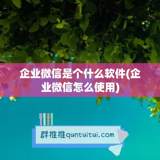 企业微信是个什么软件(企业微信怎么使用)