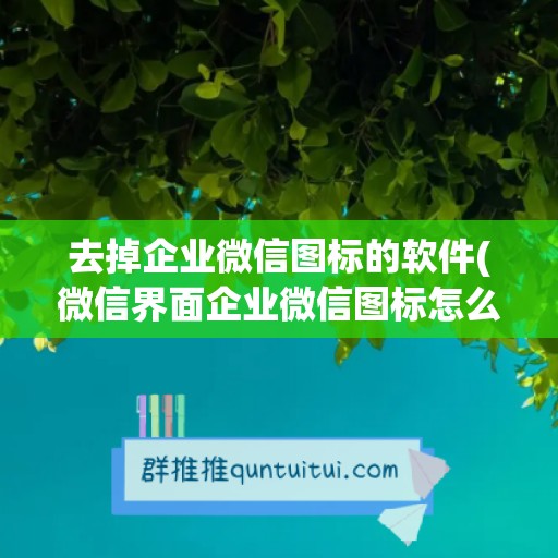 去掉企业微信图标的软件(微信界面企业微信图标怎么去掉)