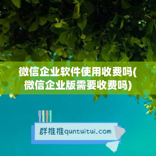 微信企业软件使用收费吗(微信企业版需要收费吗)