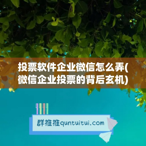 投票软件企业微信怎么弄(微信企业投票的背后玄机)