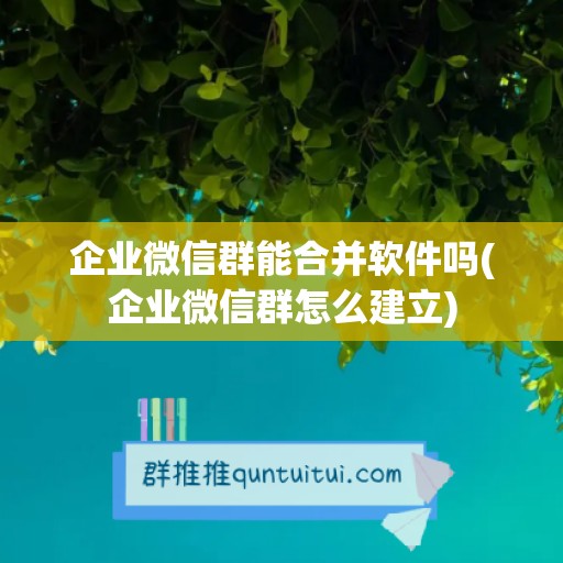 企业微信群能合并软件吗(企业微信群怎么建立)