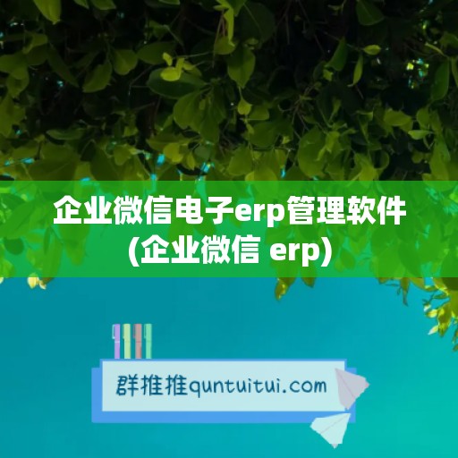 企业微信电子erp管理软件(企业微信 erp)