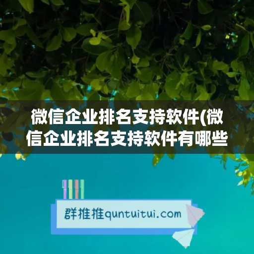 微信企业排名支持软件(微信企业排名支持软件有哪些)