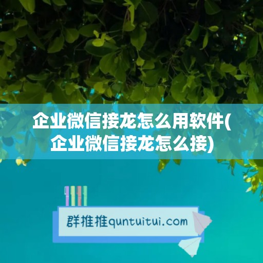 企业微信接龙怎么用软件(企业微信接龙怎么接)