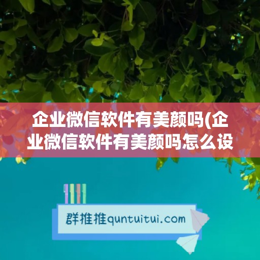 企业微信软件有美颜吗(企业微信软件有美颜吗怎么设置)