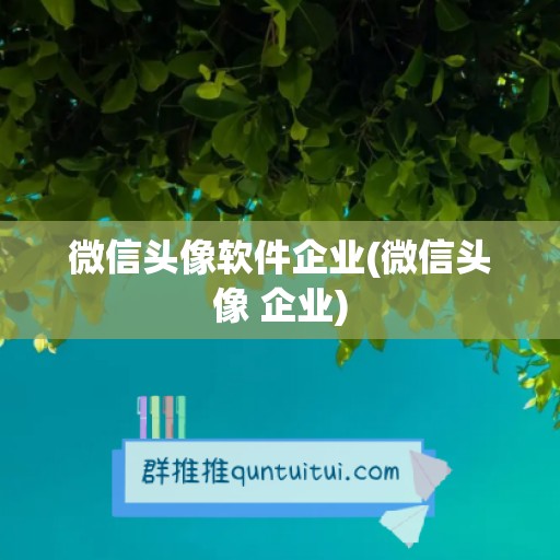 微信头像软件企业(微信头像 企业)