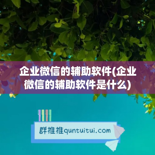 企业微信的辅助软件(企业微信的辅助软件是什么)