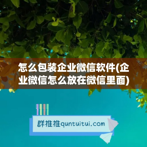 怎么包装企业微信软件(企业微信怎么放在微信里面)