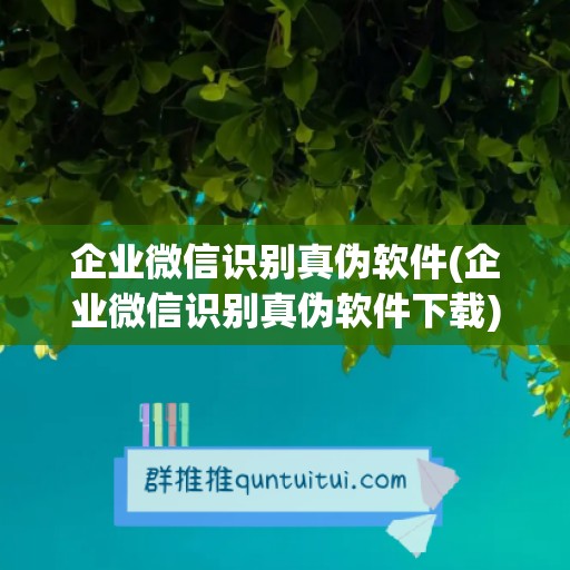 企业微信识别真伪软件(企业微信识别真伪软件下载)