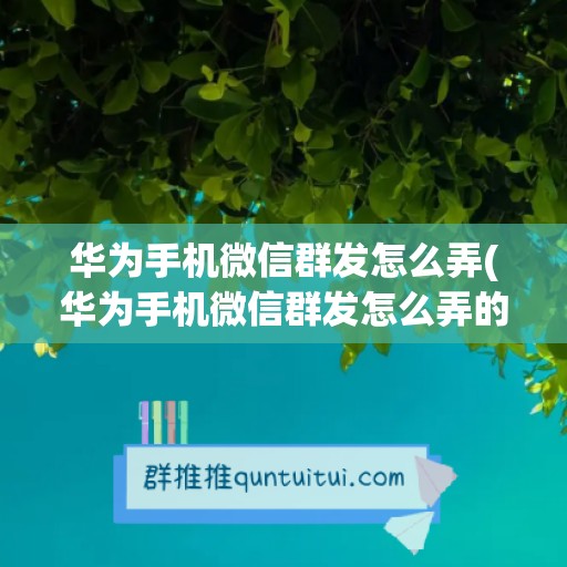 华为手机微信群发怎么弄(华为手机微信群发怎么弄的)