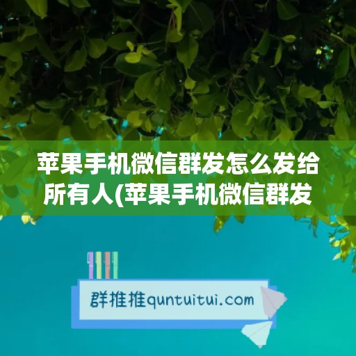 苹果手机微信群发怎么发给所有人(苹果手机微信群发怎么发)