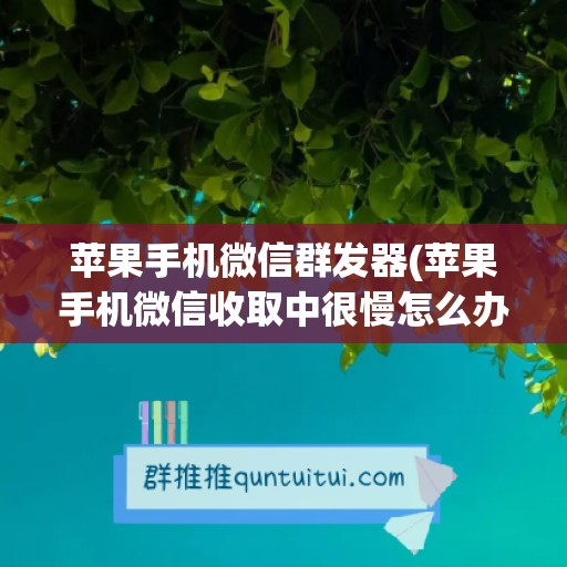 苹果手机微信群发器(苹果手机微信收取中很慢怎么办)