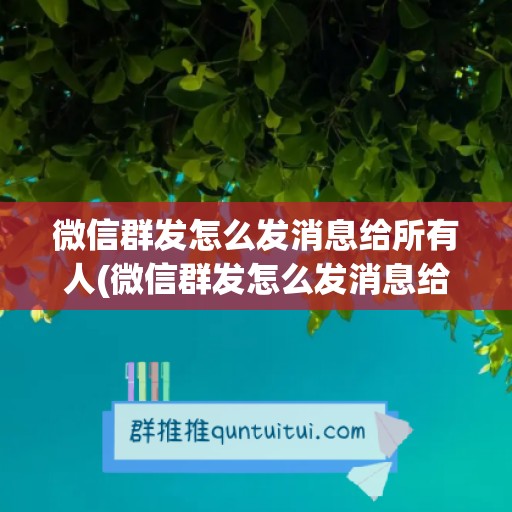 微信群发怎么发消息给所有人(微信群发怎么发消息给所有人加或者减)