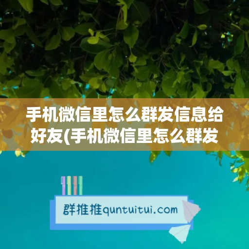 手机微信里怎么群发信息给好友(手机微信里怎么群发信息给好友看)