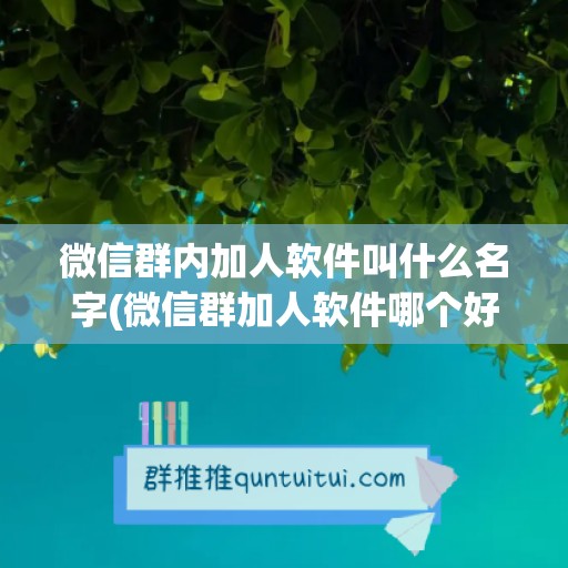 微信群内加人软件叫什么名字(微信群加人软件哪个好)