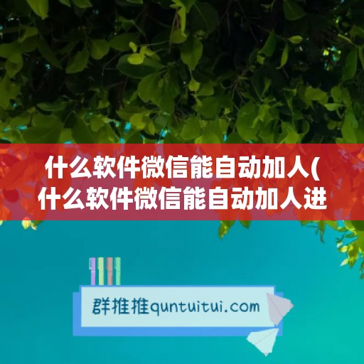 什么软件微信能自动加人(什么软件微信能自动加人进群)