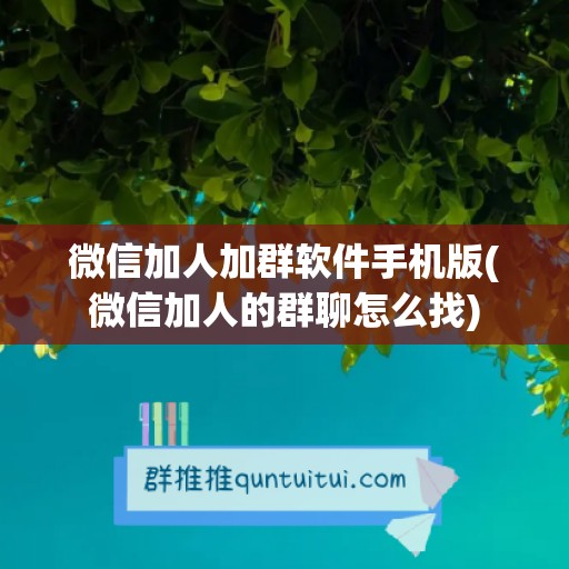 微信加人加群软件手机版(微信加人的群聊怎么找)