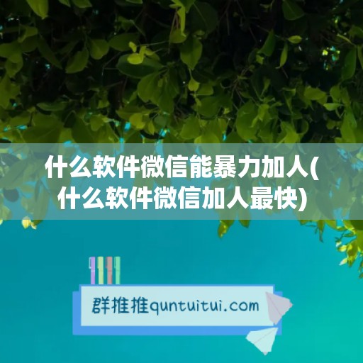 什么软件微信能暴力加人(什么软件微信加人最快)