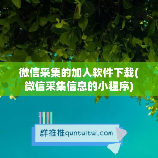 微信采集的加人软件下载(微信采集信息的小程序)