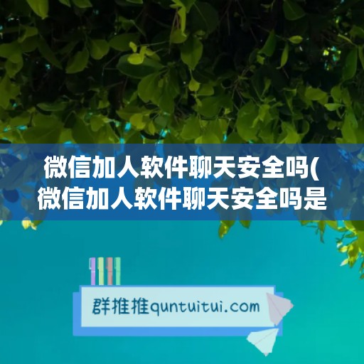 微信加人软件聊天安全吗(微信加人软件聊天安全吗是真的吗)