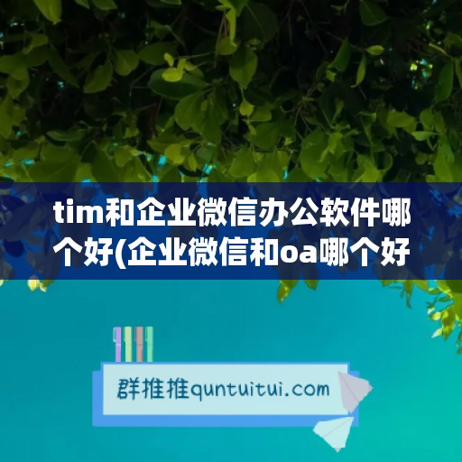 tim和企业微信办公软件哪个好(企业微信和oa哪个好)