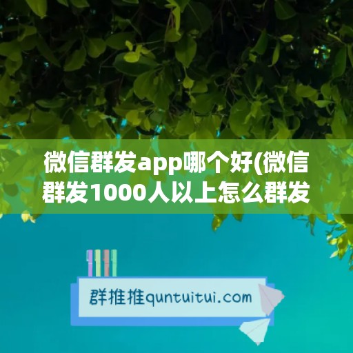 微信群发app哪个好(微信群发1000人以上怎么群发)