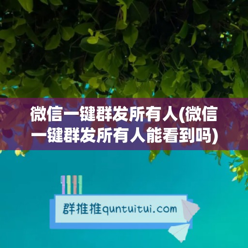 微信一键群发所有人(微信一键群发所有人能看到吗)