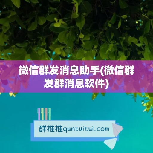 微信群发消息助手(微信群发群消息软件)