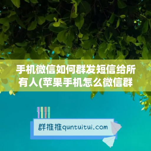 手机微信如何群发短信给所有人(苹果手机怎么微信群发短信)