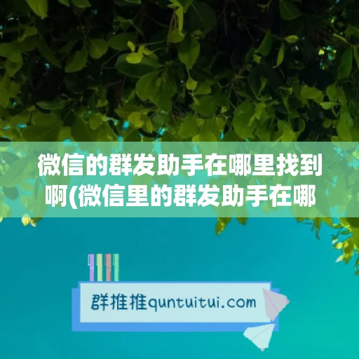 微信的群发助手在哪里找到啊(微信里的群发助手在哪里找)